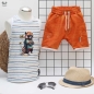 Preview: Bügelbild - "Hipster Red Fox"